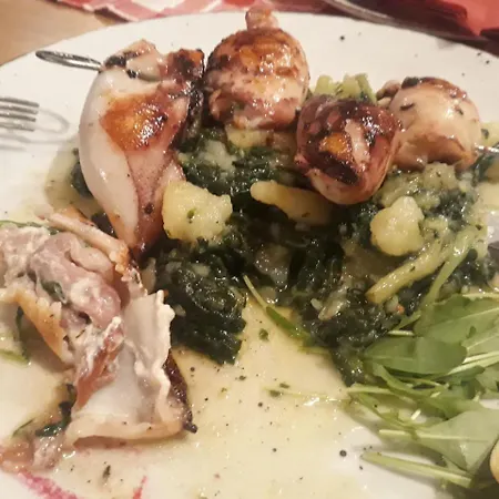 Kati 크리크베니카